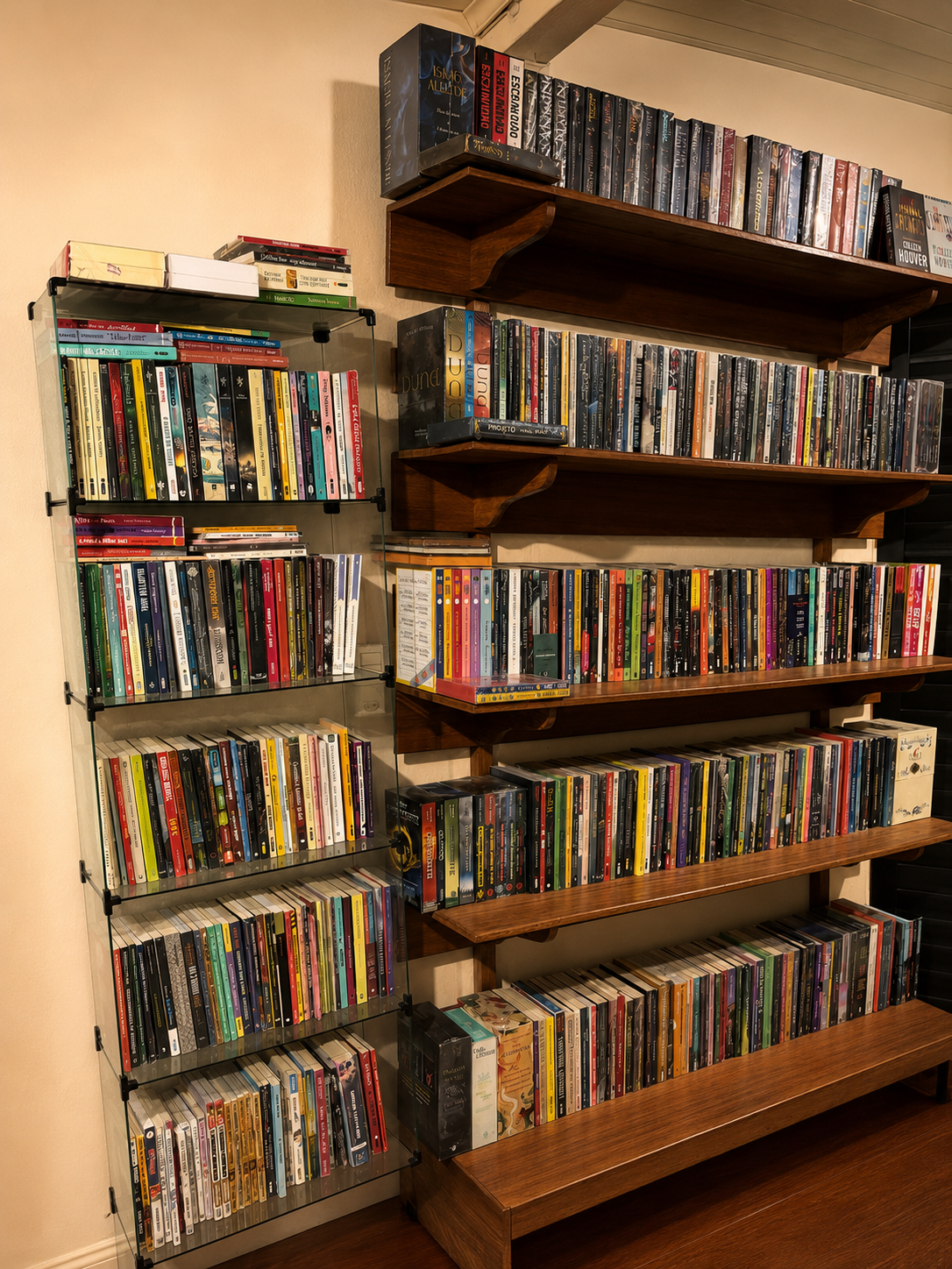 Acervo da Livros Salvatore em Óbidos, Pará